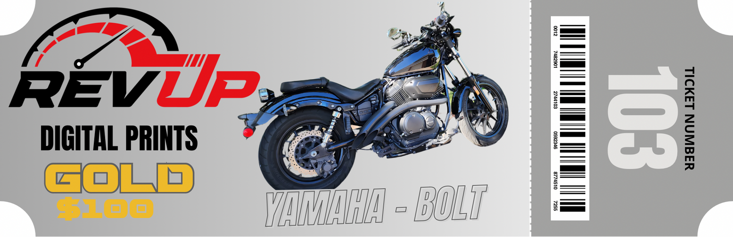 Quick Entry Digital Poster Entries $100