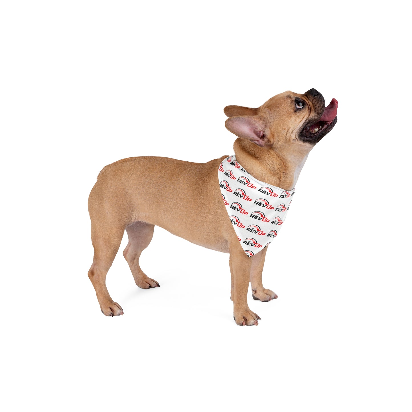 RevUp Pet Bandana